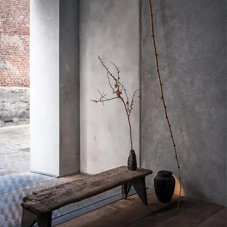 Shelter 7 * Ghent